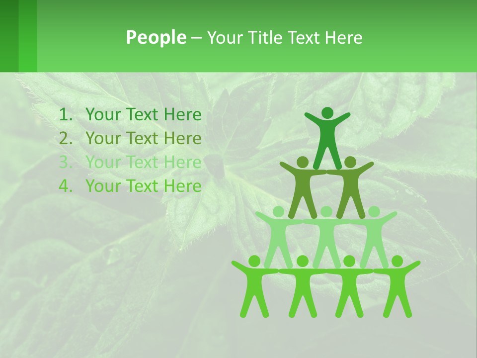A Green Leaf Powerpoint Presentation Template PowerPoint Template