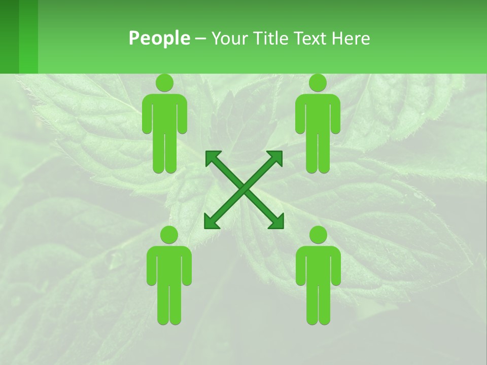 A Green Leaf Powerpoint Presentation Template PowerPoint Template