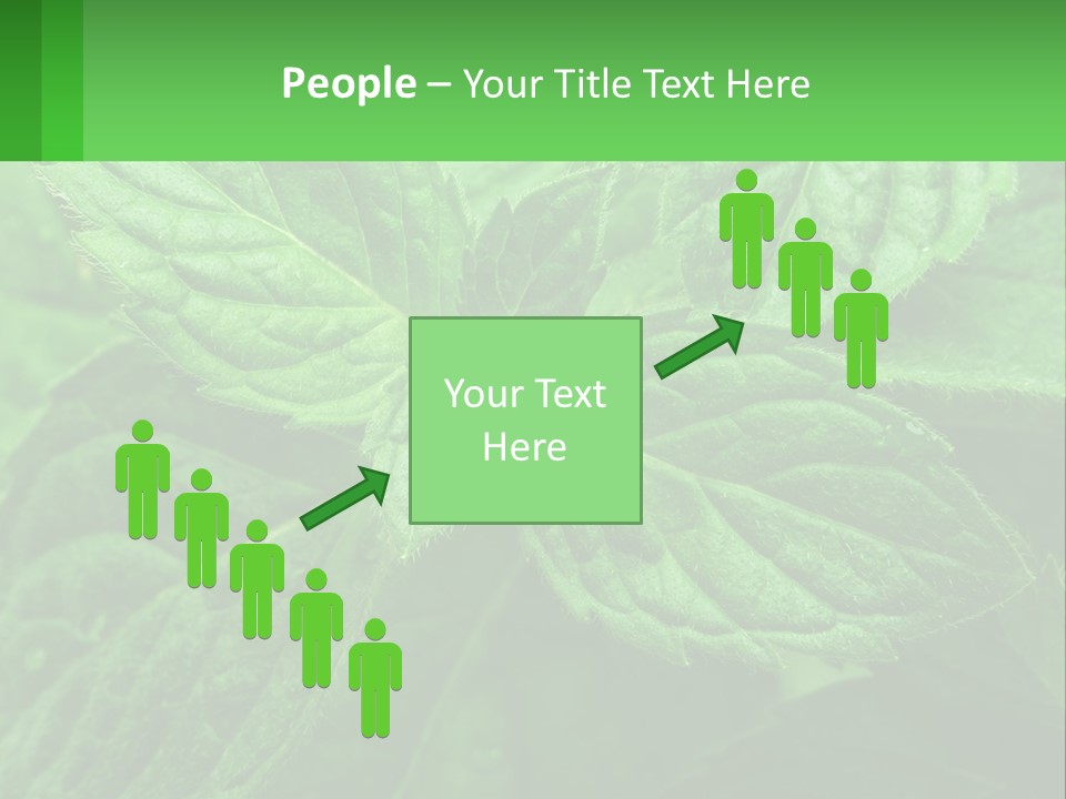 A Green Leaf Powerpoint Presentation Template PowerPoint Template