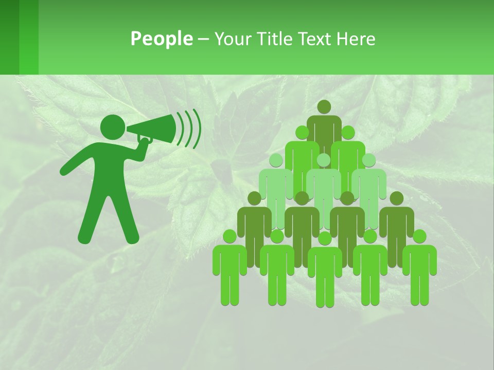 A Green Leaf Powerpoint Presentation Template PowerPoint Template