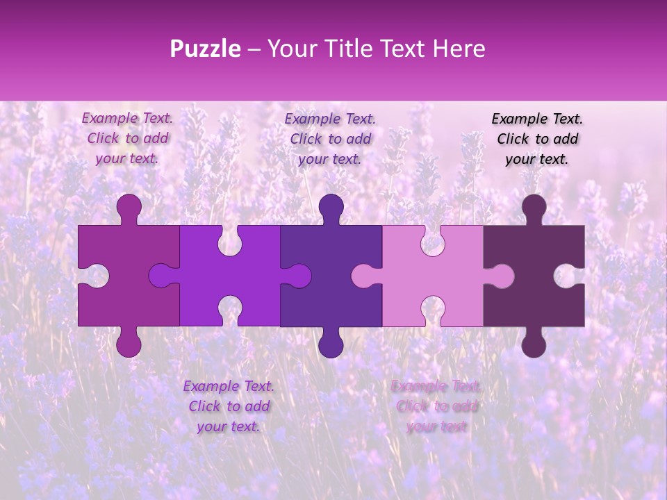 A Field Of Lavender Flowers Powerpoint Template PowerPoint Template