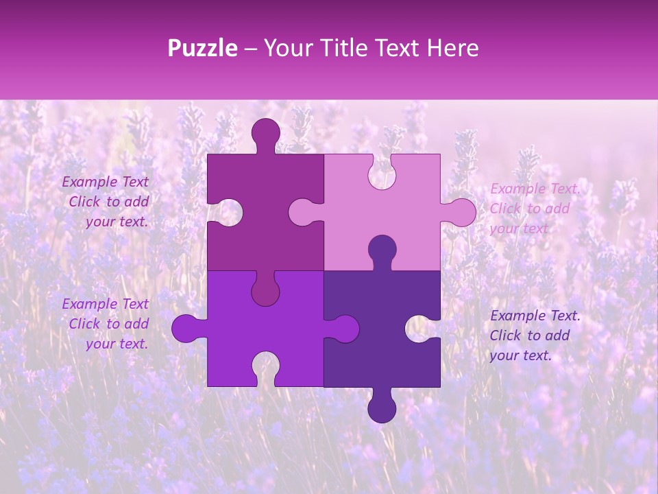 A Field Of Lavender Flowers Powerpoint Template PowerPoint Template