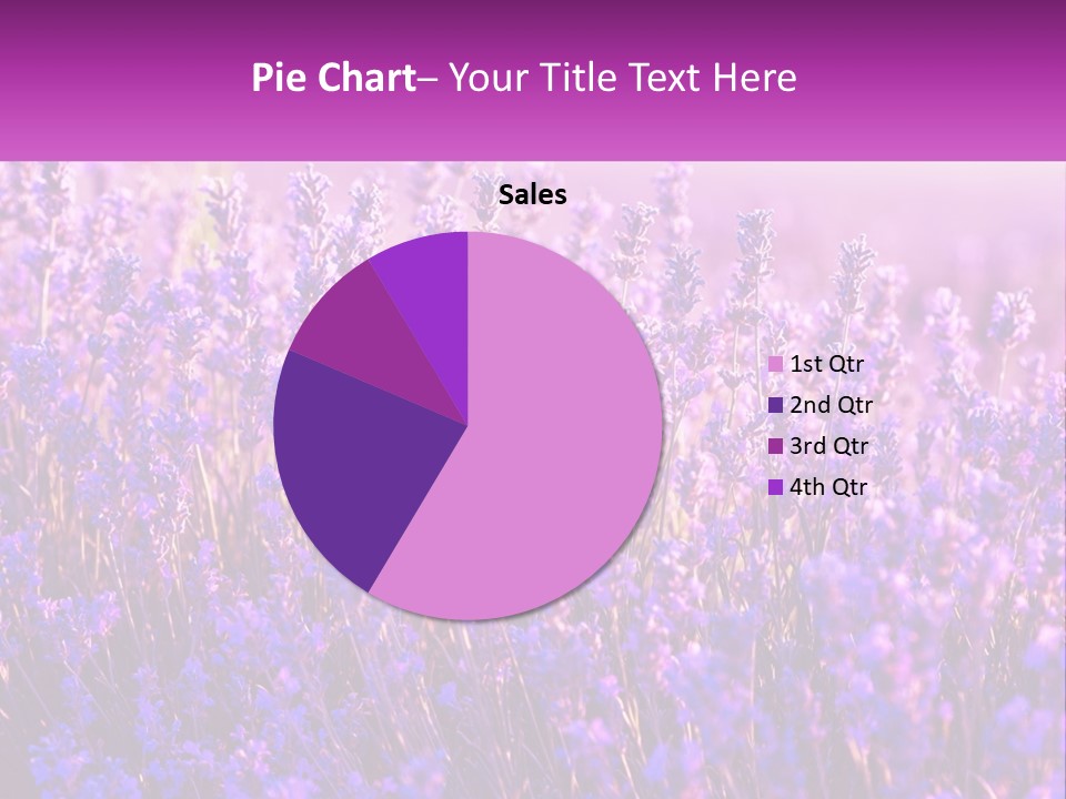 A Field Of Lavender Flowers Powerpoint Template PowerPoint Template