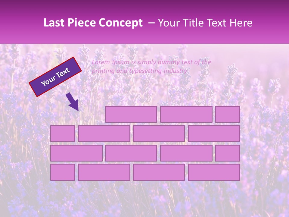 A Field Of Lavender Flowers Powerpoint Template PowerPoint Template