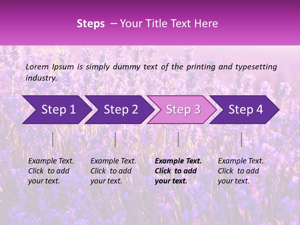 A Field Of Lavender Flowers Powerpoint Template PowerPoint Template
