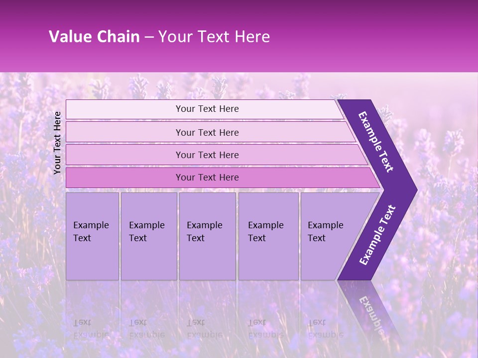 A Field Of Lavender Flowers Powerpoint Template PowerPoint Template