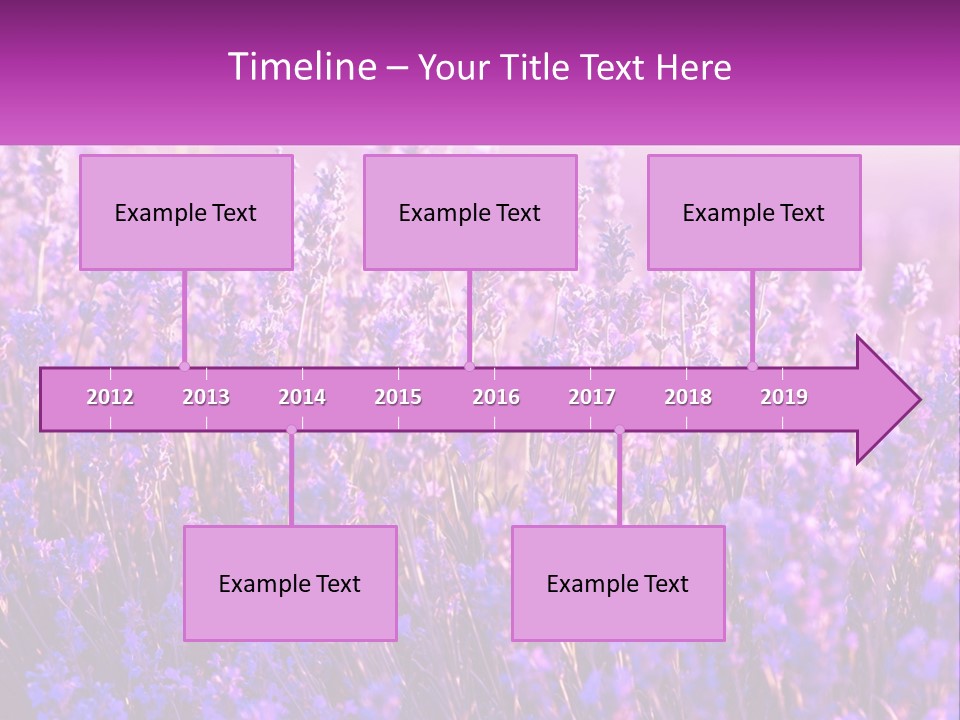 A Field Of Lavender Flowers Powerpoint Template PowerPoint Template