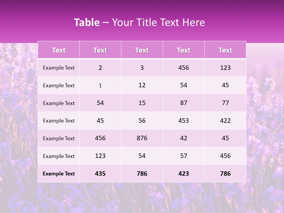 A Field Of Lavender Flowers Powerpoint Template PowerPoint Template