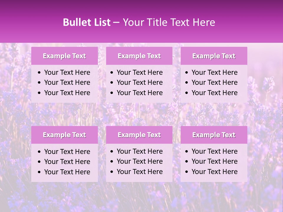A Field Of Lavender Flowers Powerpoint Template PowerPoint Template
