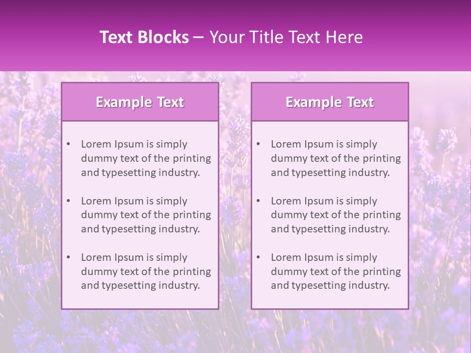 A Field Of Lavender Flowers Powerpoint Template PowerPoint Template