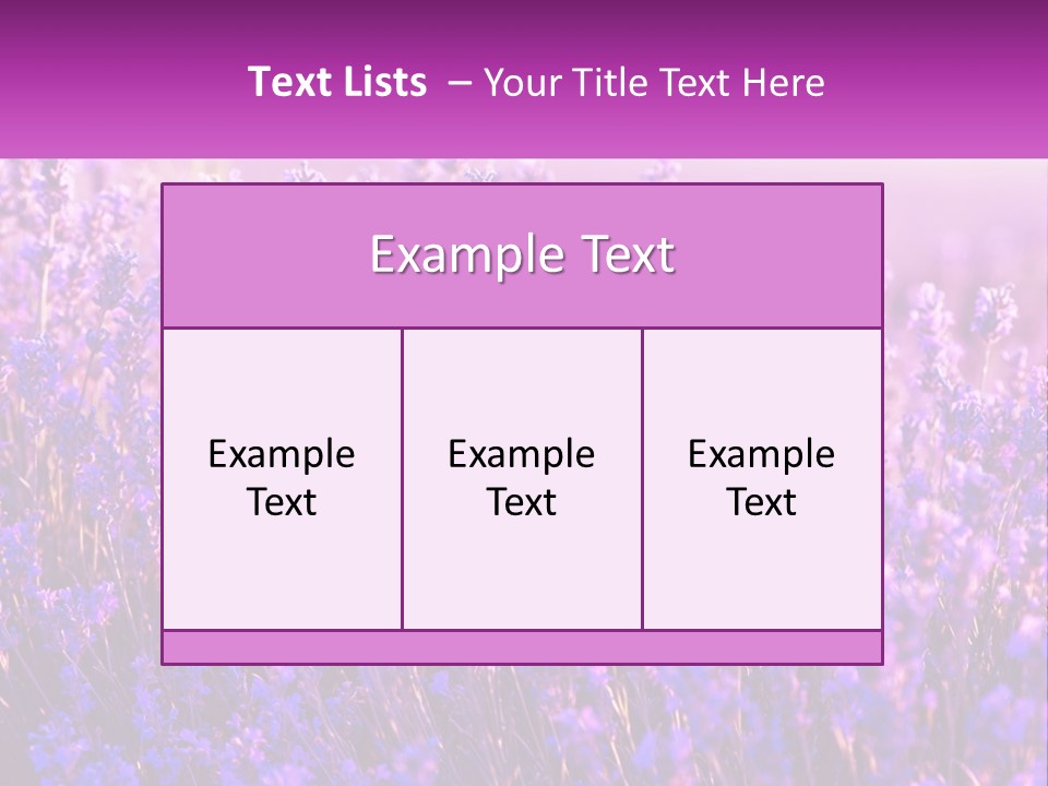 A Field Of Lavender Flowers Powerpoint Template PowerPoint Template