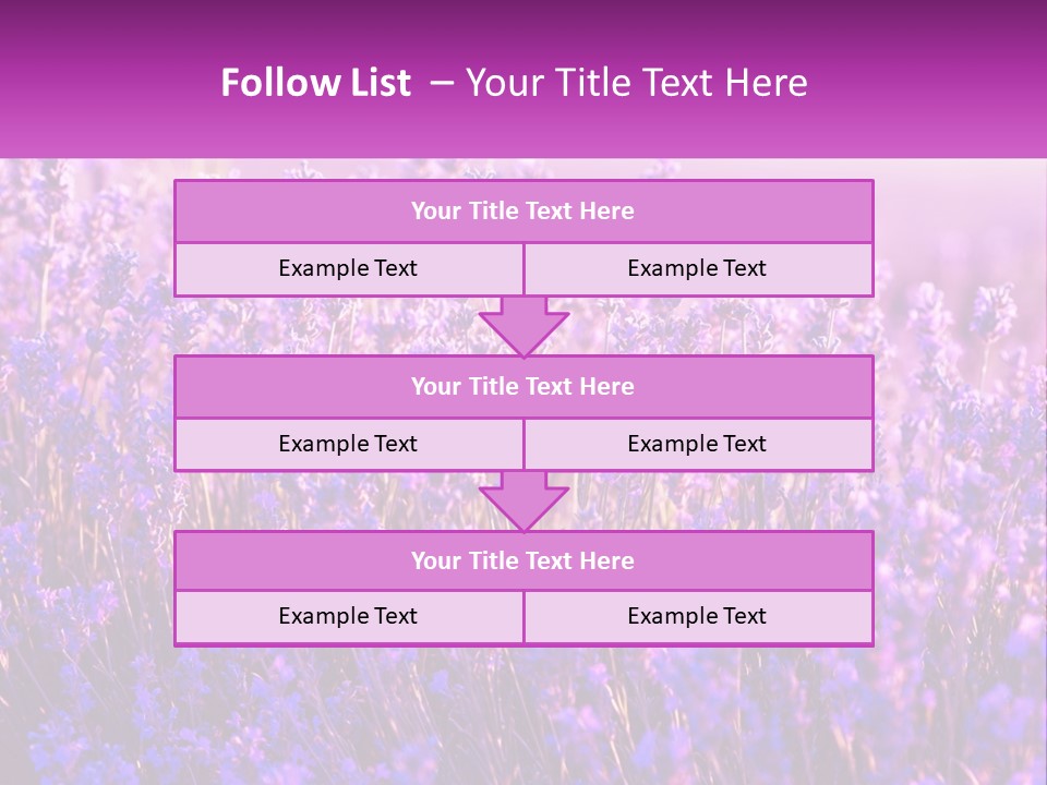 A Field Of Lavender Flowers Powerpoint Template PowerPoint Template