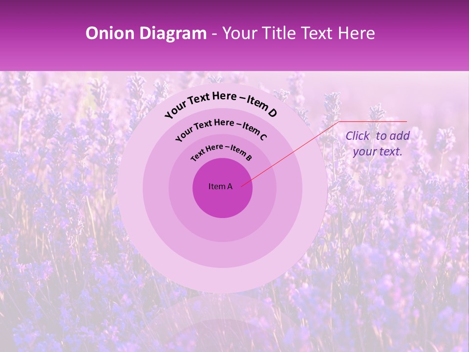 A Field Of Lavender Flowers Powerpoint Template PowerPoint Template