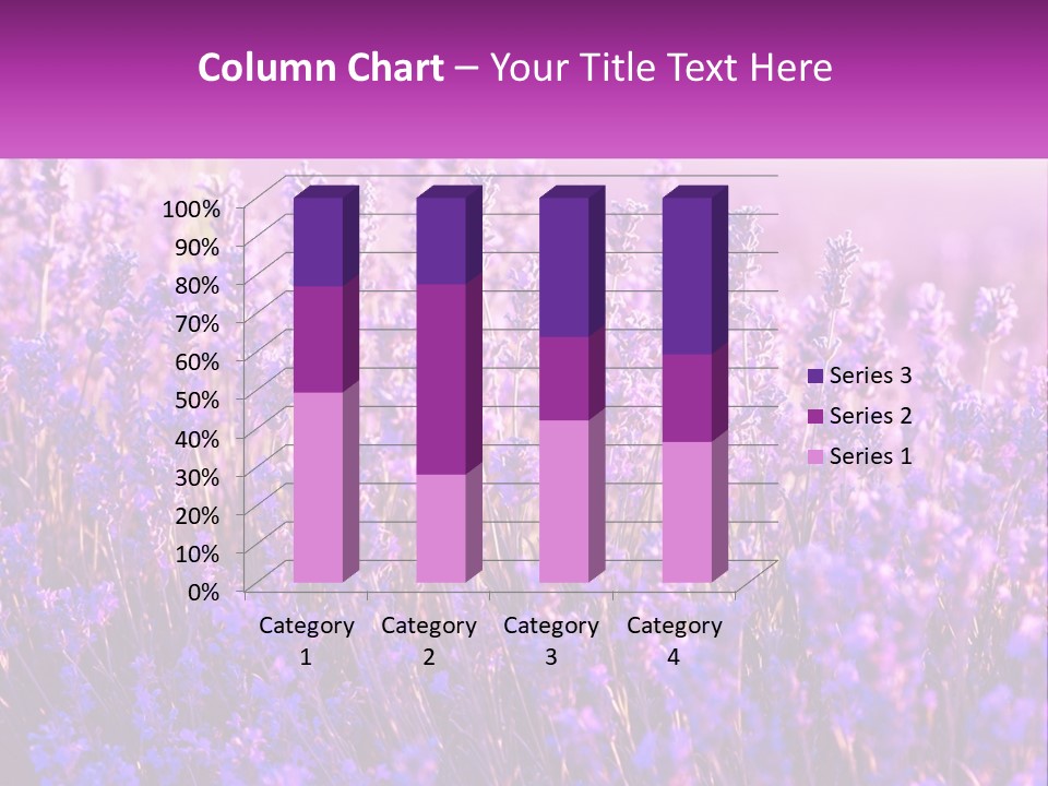 A Field Of Lavender Flowers Powerpoint Template PowerPoint Template