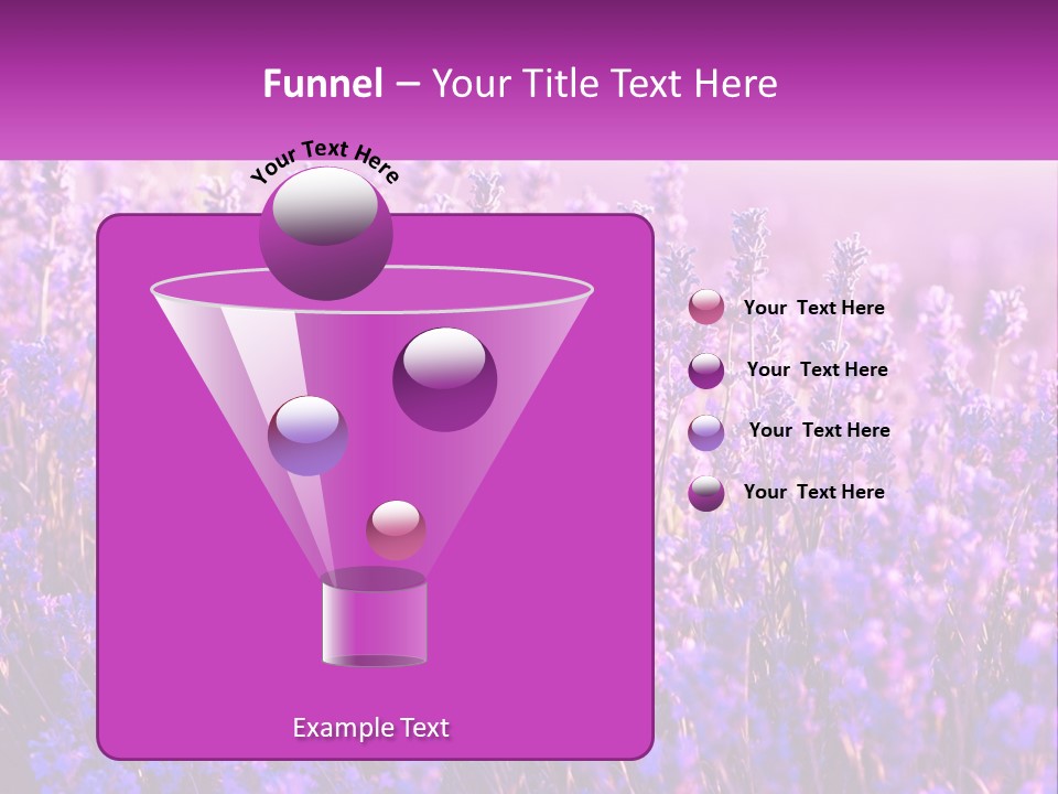 A Field Of Lavender Flowers Powerpoint Template PowerPoint Template