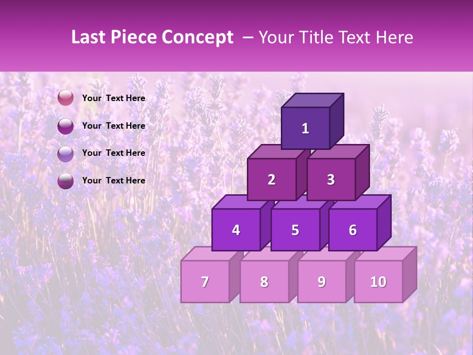 A Field Of Lavender Flowers Powerpoint Template PowerPoint Template