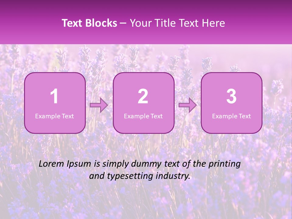 A Field Of Lavender Flowers Powerpoint Template PowerPoint Template