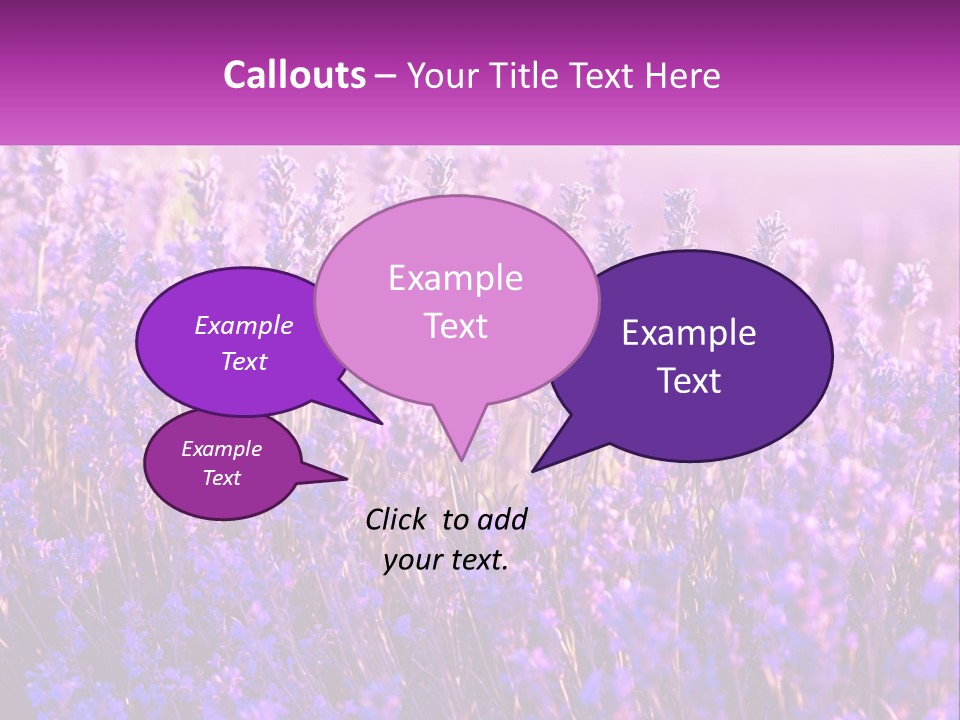 A Field Of Lavender Flowers Powerpoint Template PowerPoint Template