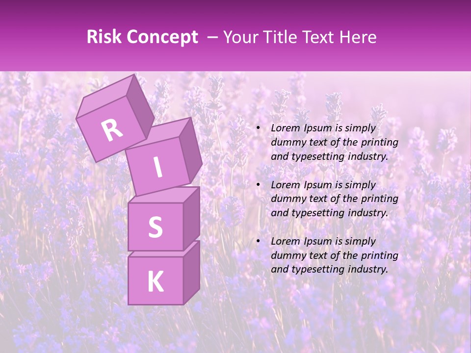 A Field Of Lavender Flowers Powerpoint Template PowerPoint Template