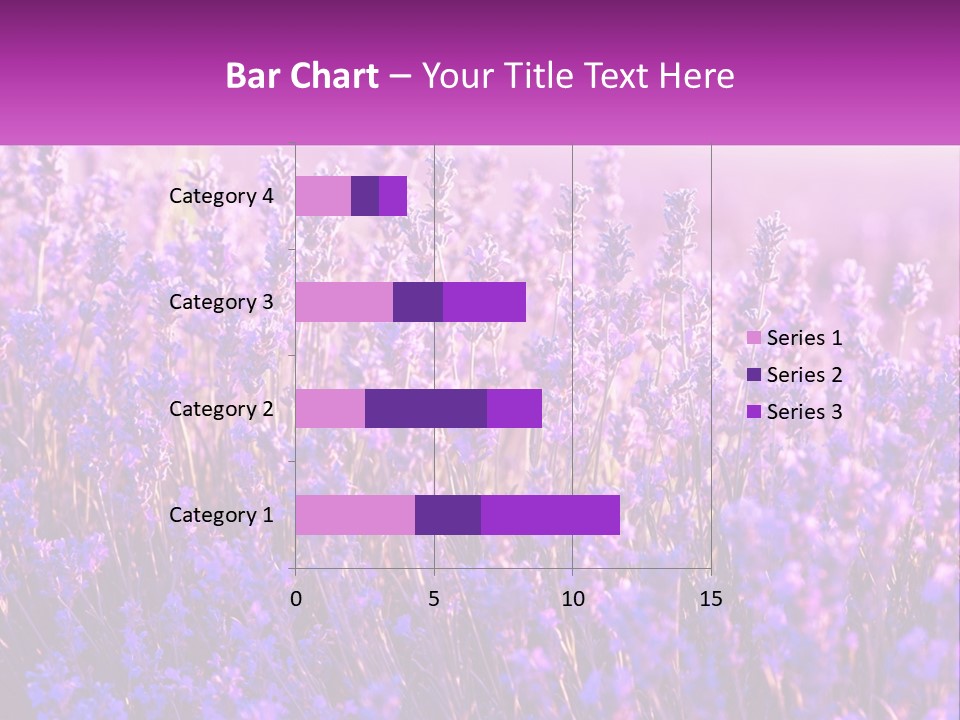 A Field Of Lavender Flowers Powerpoint Template PowerPoint Template