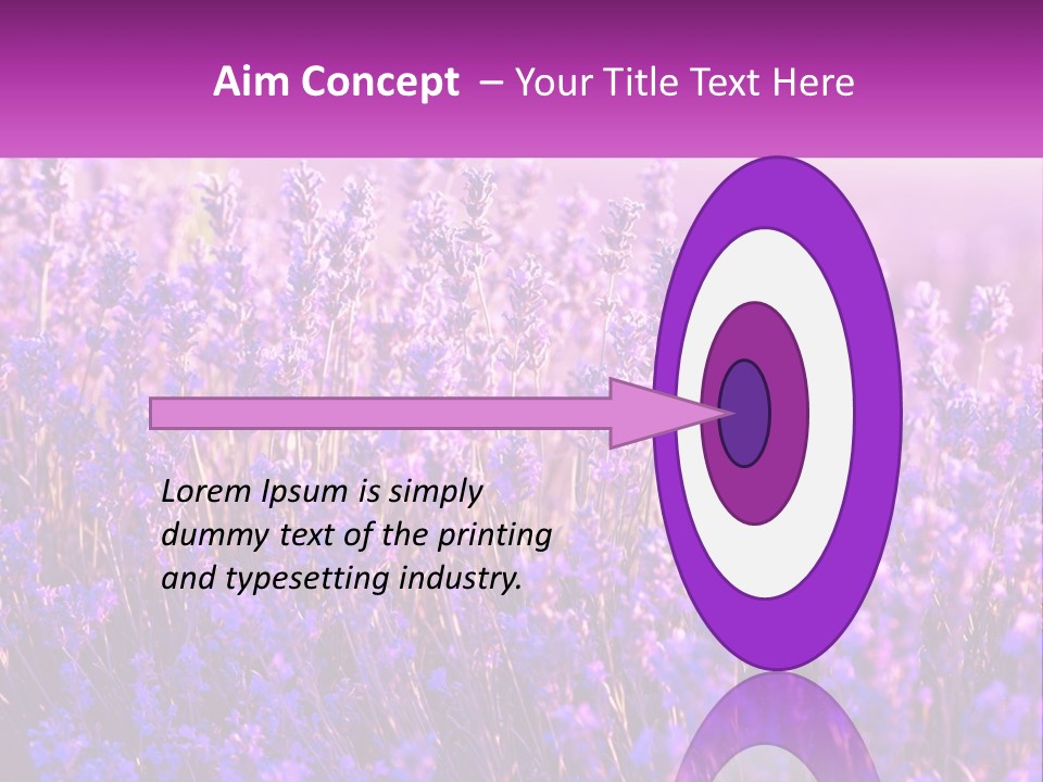 A Field Of Lavender Flowers Powerpoint Template PowerPoint Template