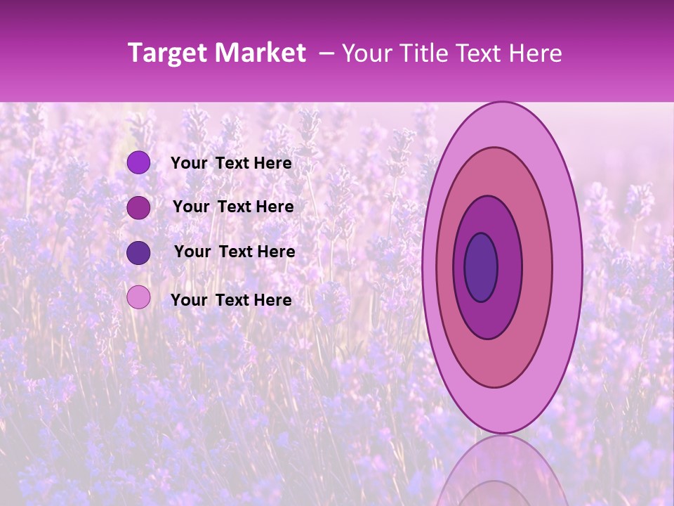 A Field Of Lavender Flowers Powerpoint Template PowerPoint Template