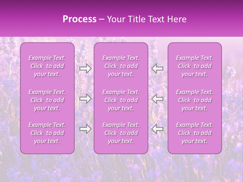 A Field Of Lavender Flowers Powerpoint Template PowerPoint Template