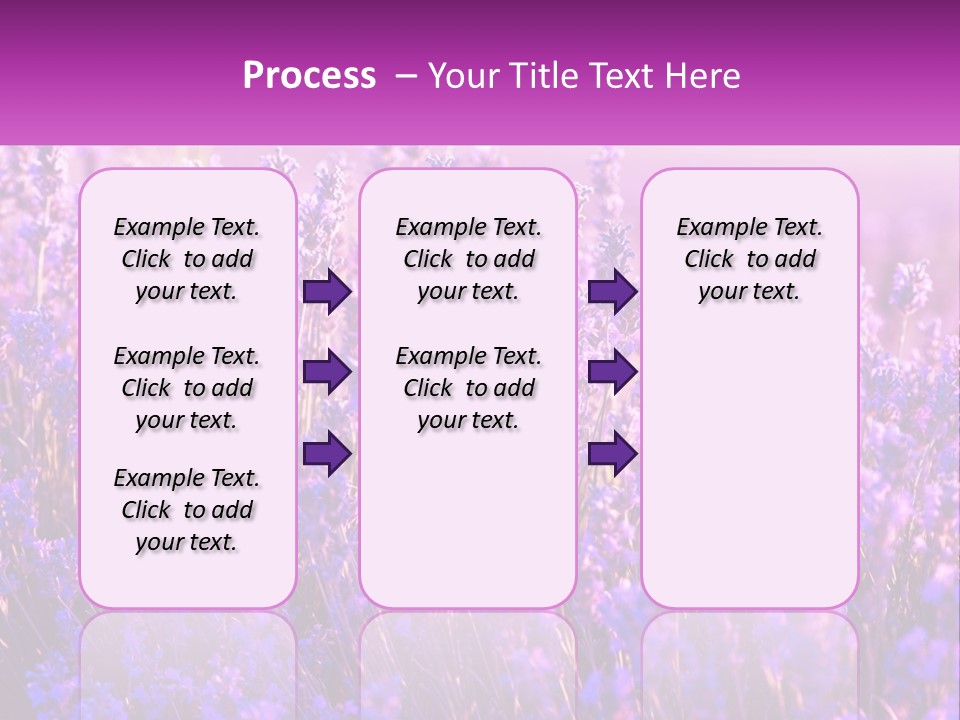 A Field Of Lavender Flowers Powerpoint Template PowerPoint Template