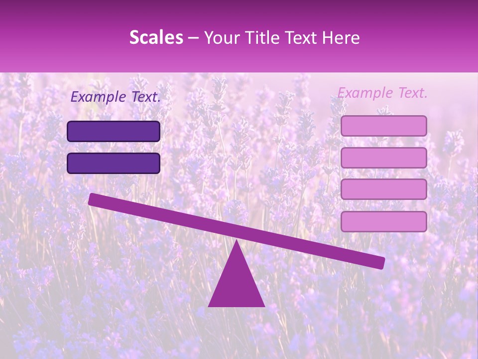 A Field Of Lavender Flowers Powerpoint Template PowerPoint Template