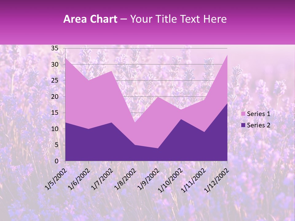 A Field Of Lavender Flowers Powerpoint Template PowerPoint Template