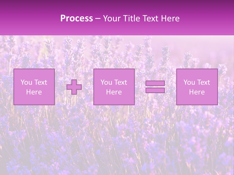 A Field Of Lavender Flowers Powerpoint Template PowerPoint Template