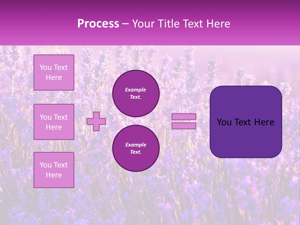 A Field Of Lavender Flowers Powerpoint Template PowerPoint Template