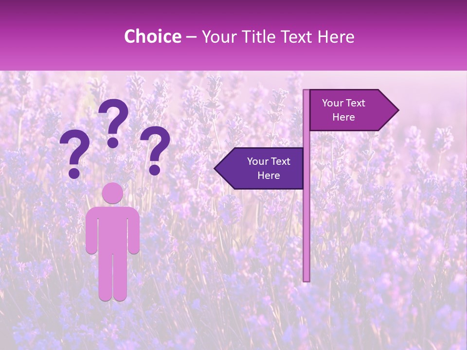 A Field Of Lavender Flowers Powerpoint Template PowerPoint Template