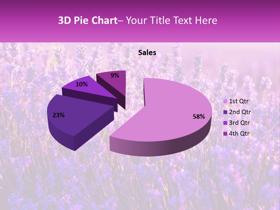 A Field Of Lavender Flowers Powerpoint Template PowerPoint Template