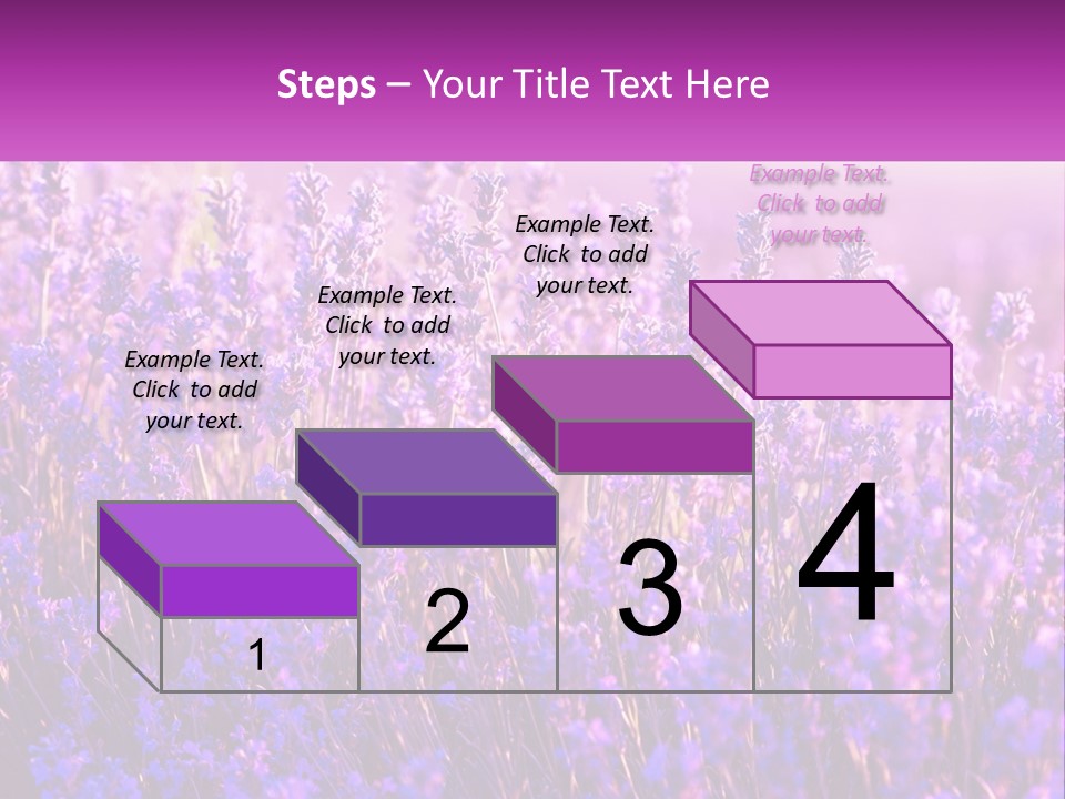 A Field Of Lavender Flowers Powerpoint Template PowerPoint Template