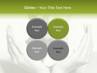 A Woman Holding A Plant In Her Hands PowerPoint Template