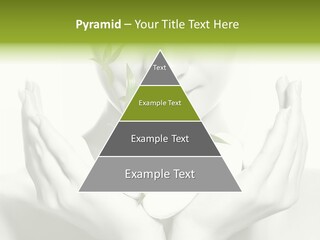 A Woman Holding A Plant In Her Hands PowerPoint Template