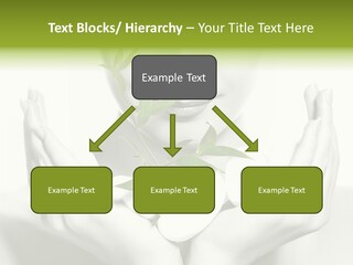 A Woman Holding A Plant In Her Hands PowerPoint Template