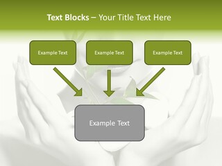 A Woman Holding A Plant In Her Hands PowerPoint Template