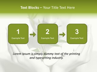 A Woman Holding A Plant In Her Hands PowerPoint Template