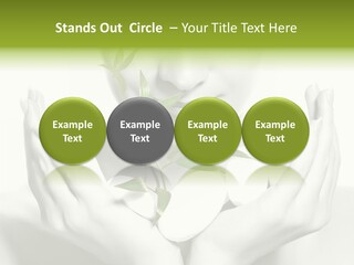 A Woman Holding A Plant In Her Hands PowerPoint Template
