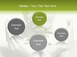 A Woman Holding A Plant In Her Hands PowerPoint Template