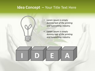 A Woman Holding A Plant In Her Hands PowerPoint Template