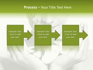 A Woman Holding A Plant In Her Hands PowerPoint Template