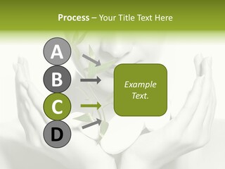 A Woman Holding A Plant In Her Hands PowerPoint Template
