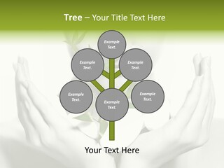 A Woman Holding A Plant In Her Hands PowerPoint Template