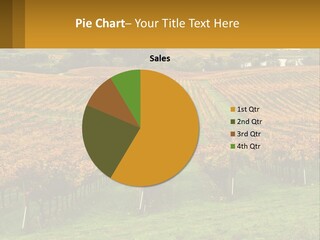 A Large Field With Lots Of Trees In It PowerPoint Template