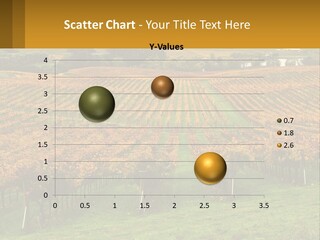 A Large Field With Lots Of Trees In It PowerPoint Template
