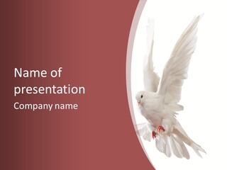 A White Dove Flying In The Air With Its Wings Spread PowerPoint Template