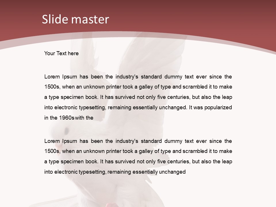 A White Dove Flying In The Air With Its Wings Spread PowerPoint Template